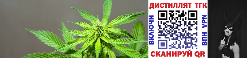 ТГК жижа  Купить где  Луховицы 